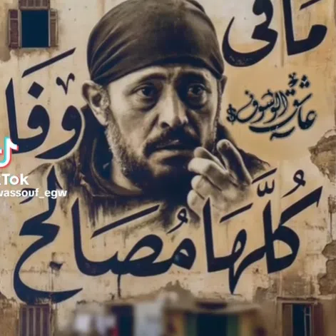 Mahmoud elbadry